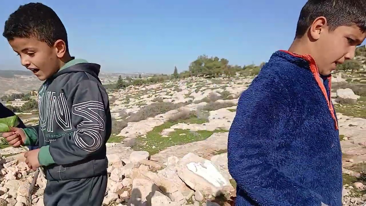 ١ فبراير ٢٠٢٦