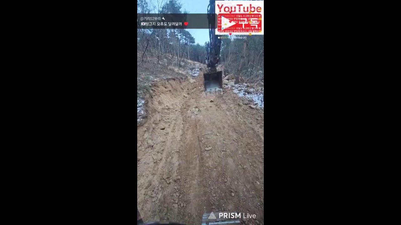땅그지  나무꾼 굴삭기 26년1월26일 오늘은 소나무굴취#공투#소통#홍성#korean굴삭기#굴착기#포크레인#excavator