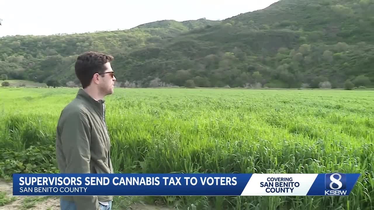 San Benito supervisors put cannabis tax overhaul on June ballot for voter approval