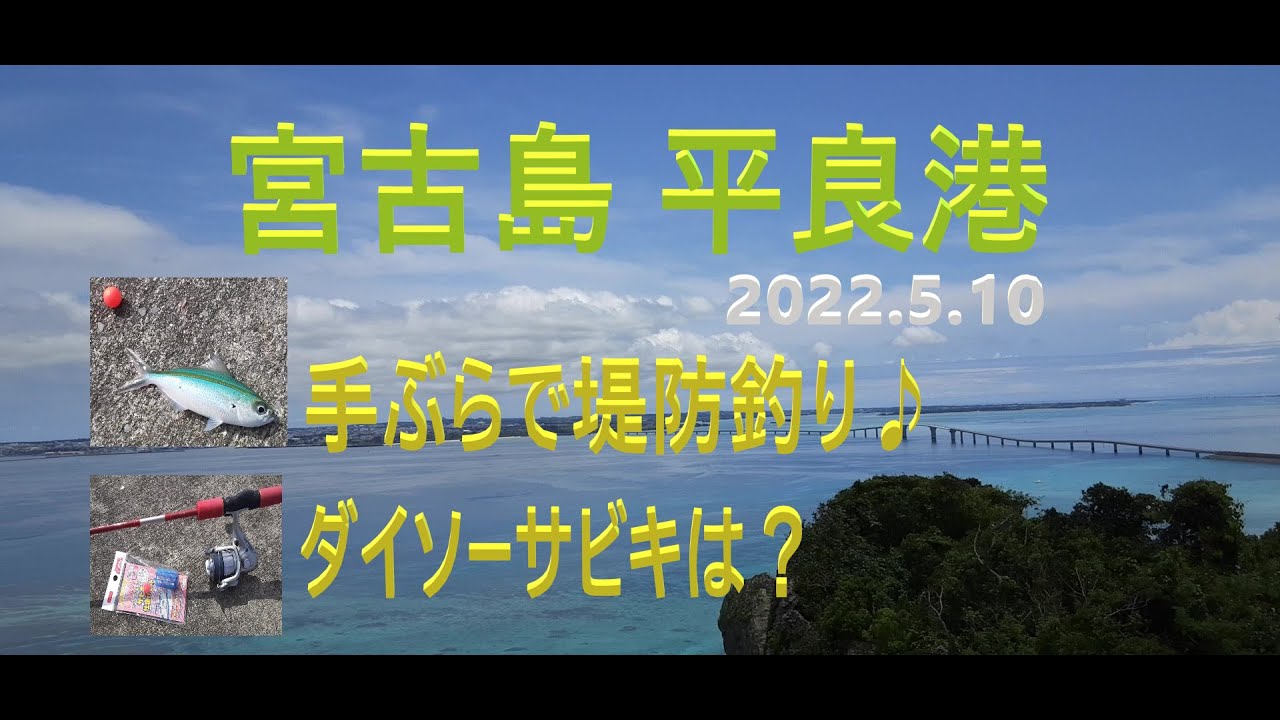 宮古島 平良港の釣り part 1 2022.5.10 南国の魚たち♪