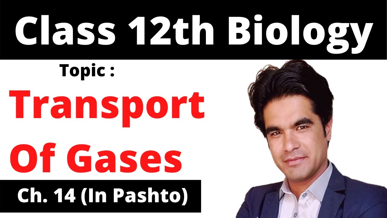 Transport of gases | FSC biology part II, in pashto | Home of biology