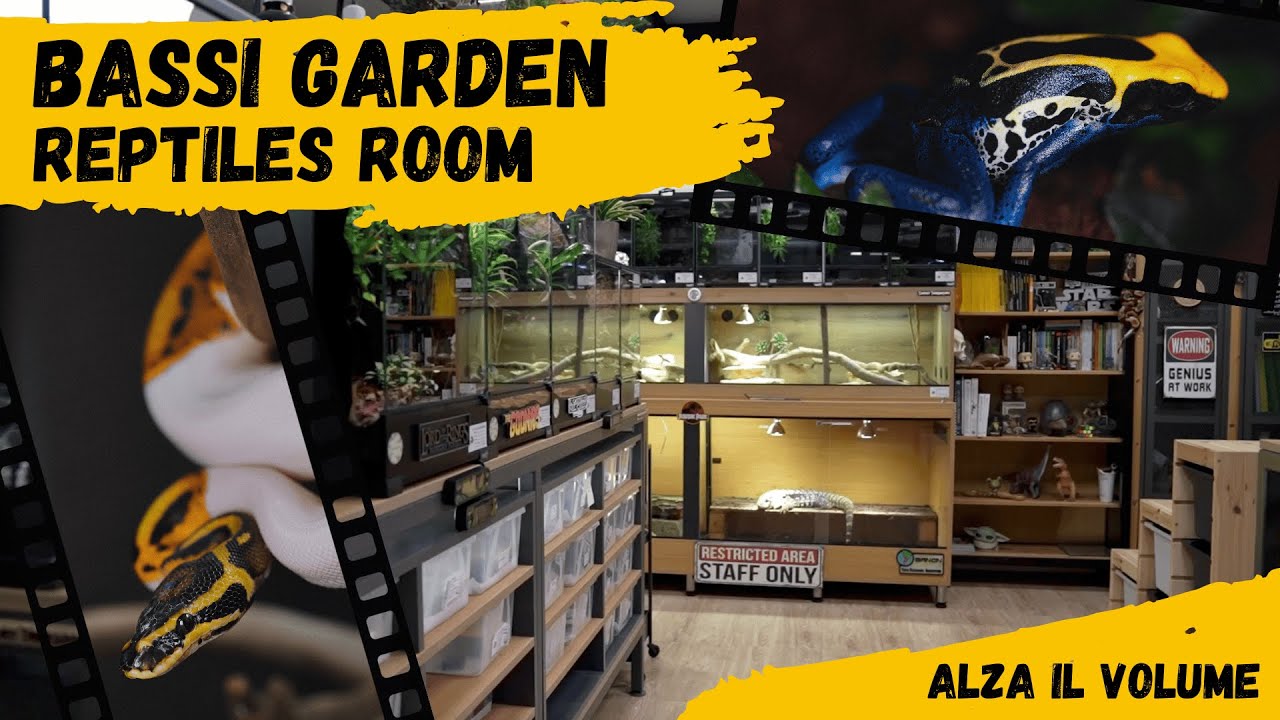 BASSI GARDEN - REPTILES SHOP - TERRARIUM - VIVARIUM