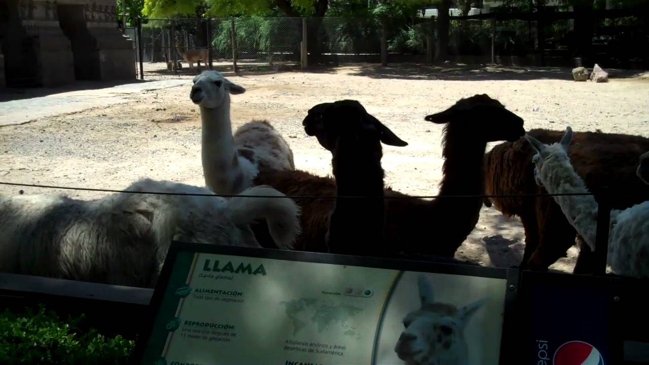 Jardín Zoológico Buenos Aires, Argentina 2012