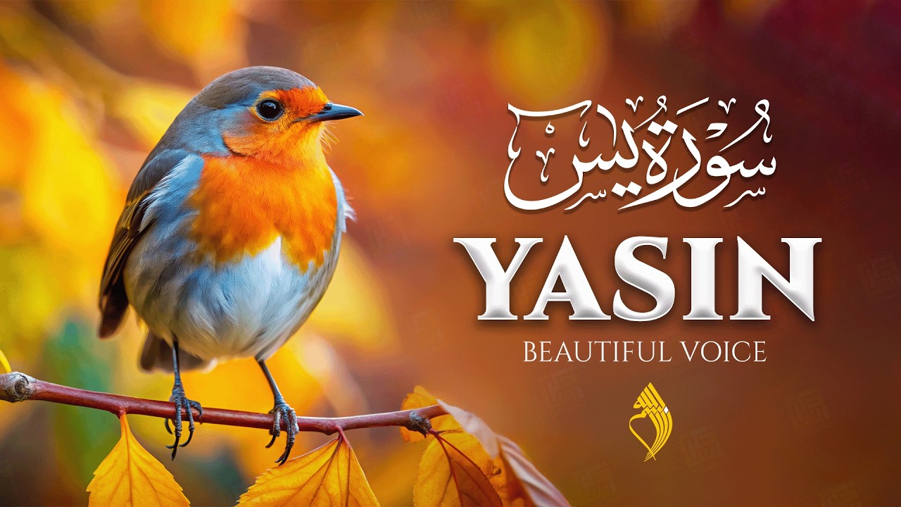 So Relaxing Voice of Surah Yasin - سورة يس | Heart Melting Reciation | #quranlofi