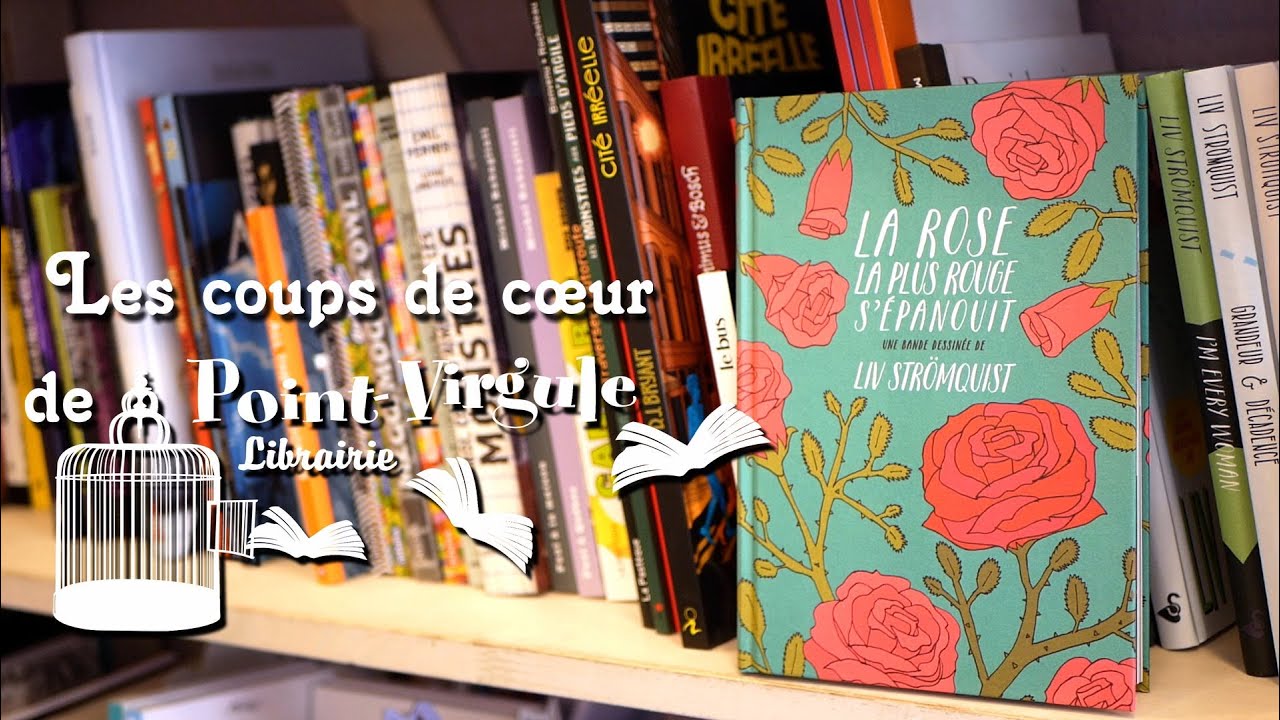 La Rose la plus rouge s'épanouit - Liv Strömquist