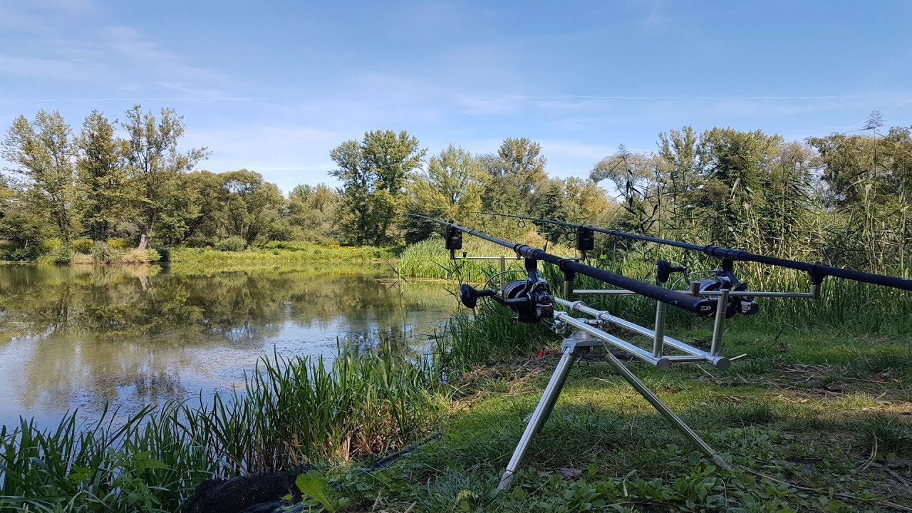 karpie pod wyspą | piękne odjazdy | wodery zamiast ł&oacute;dki #carphunterspolska