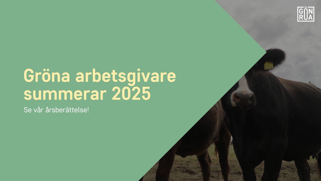 Årsberättelse: Gröna arbetsgivare summerar 2025