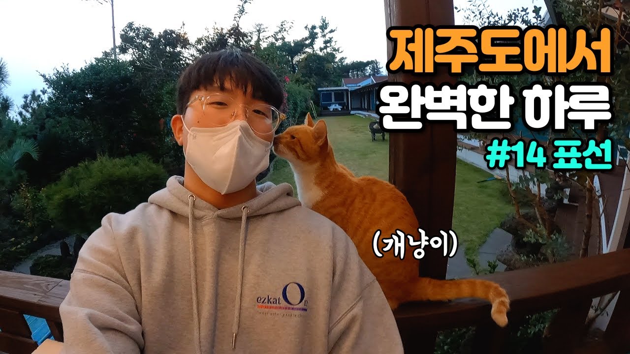 인생샷 성지부터 도민맛집까지! 표선면에서 보내는 완벽한 하루 - 풀코스 제주여행 #14