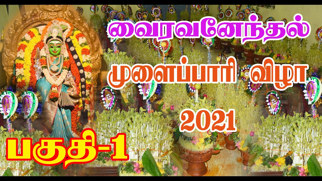 வைரவனேந்தல் | அழகியமீனாள்அம்மன் முளைப்பாரி  விழாபகுதி 1| Vairavanendal  PART -1|MulapaariFestival