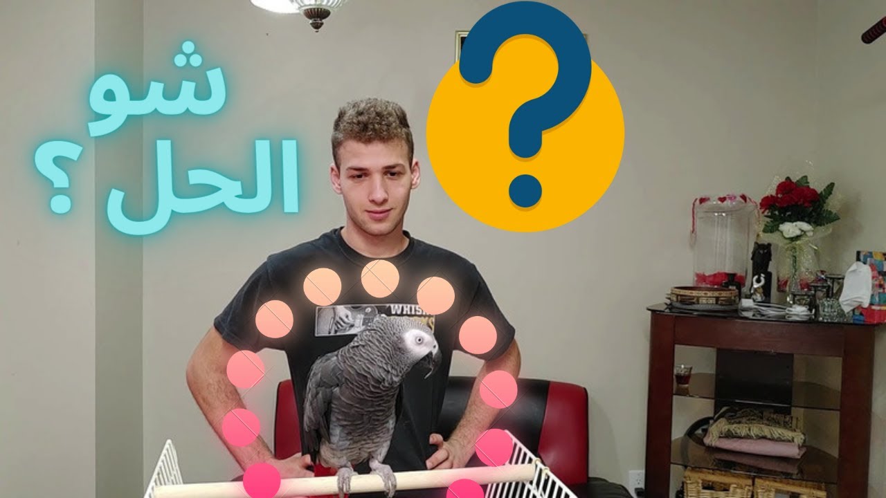ببغائك اليف لكن ما بيطلع على الايد ... شو الحل؟؟🤔