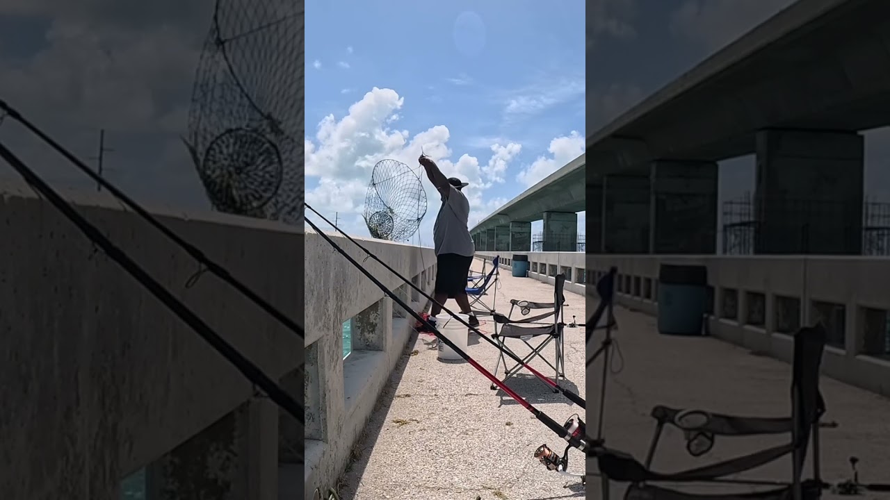 “Fishing the Florida Keys Bridges | Rods Bending & Action!”