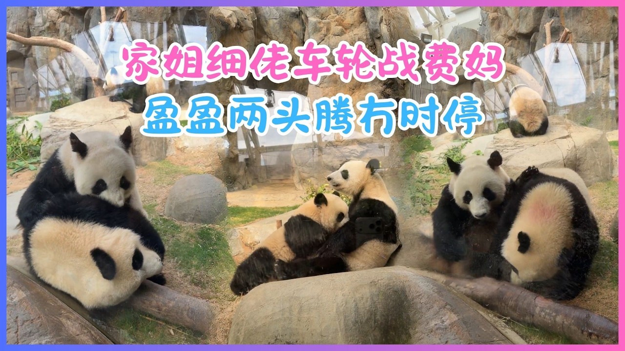 3月17日💖家姐细佬车轮战费妈～盈盈两头腾冇时停，最后仲要餵家姐啜奶！💖