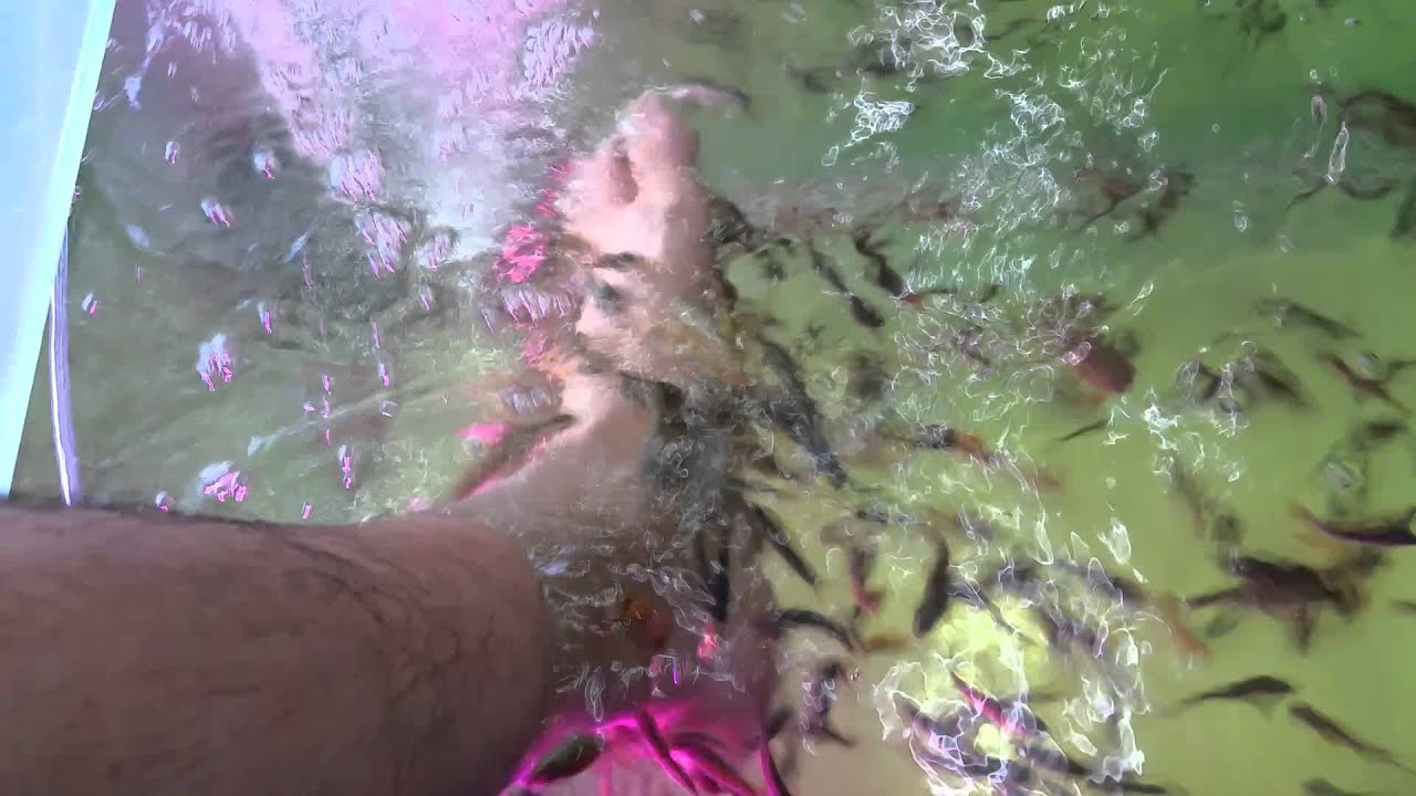 Fish Eating Dead Skin Pedicure in Thailand!