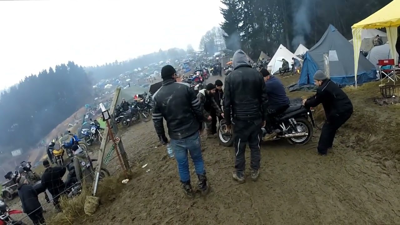 ELEFANTENTREFFEN 2024