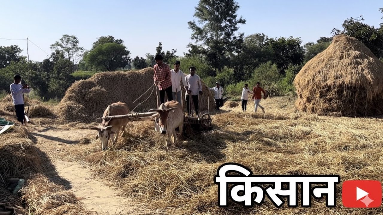 kisano ke kaam 