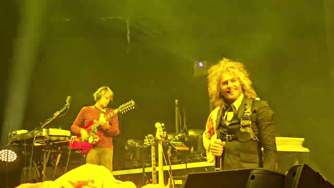The Flaming Lips 