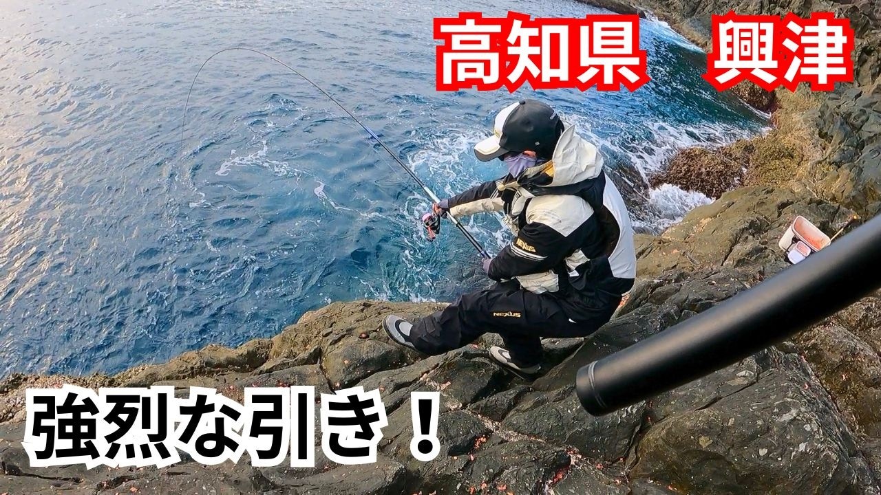 【高知県】興津の磯でフカセ釣り！強烈な引きが連発！