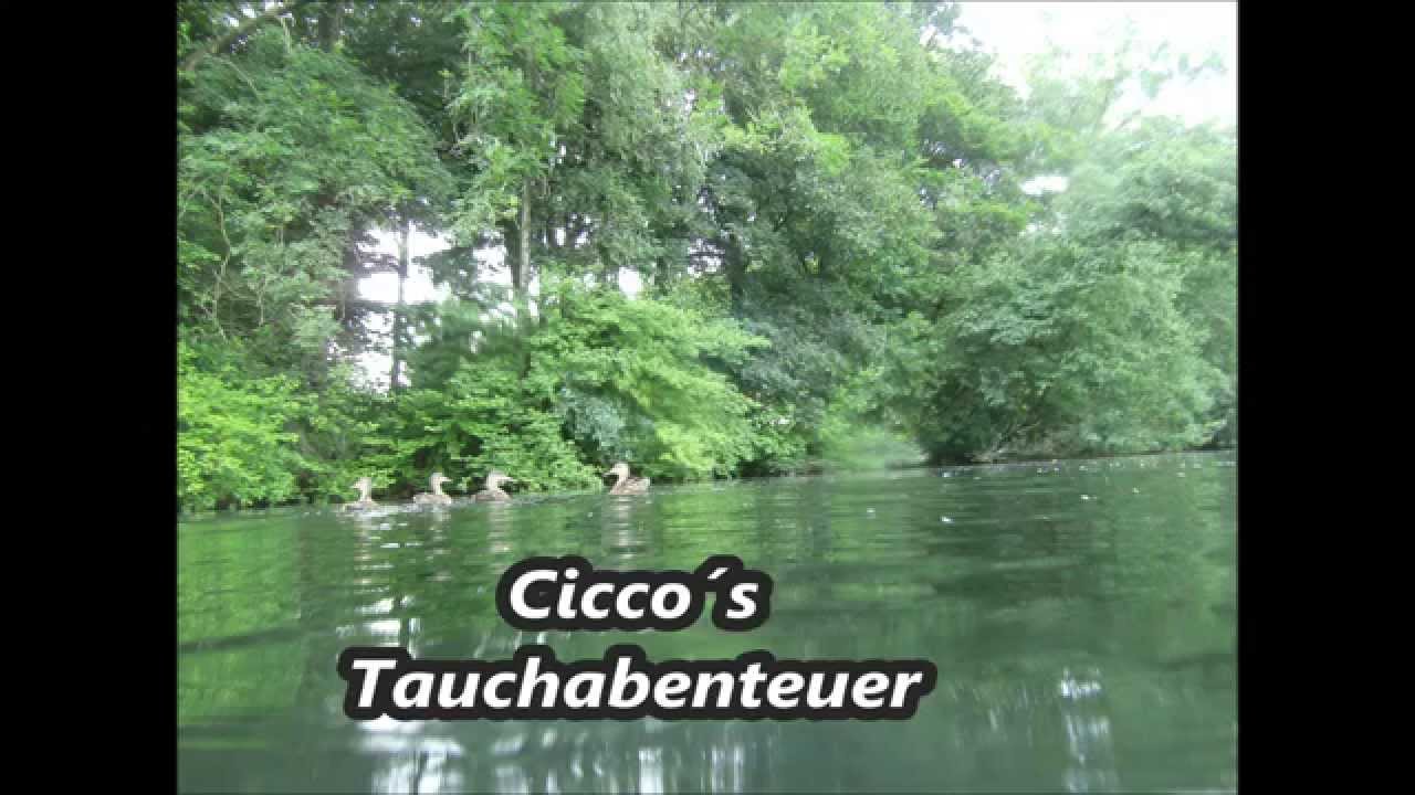 Tauchen Cicco´s Tauchabenteuer Aal in der Stever