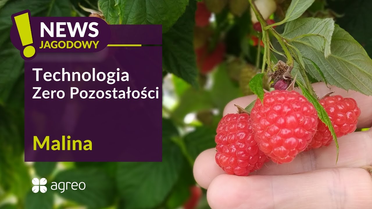 Choroby odglebowe korzeni - jak sobie z nimi radzić | 𝗨𝗽𝗿𝗮𝘄𝗮 𝗺𝗮𝗹𝗶𝗻