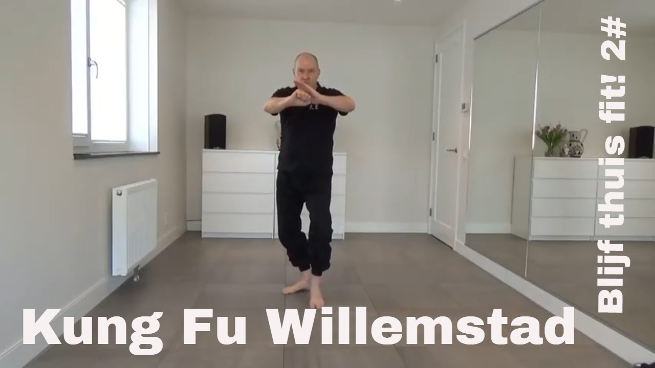Kung Fu basis training #2