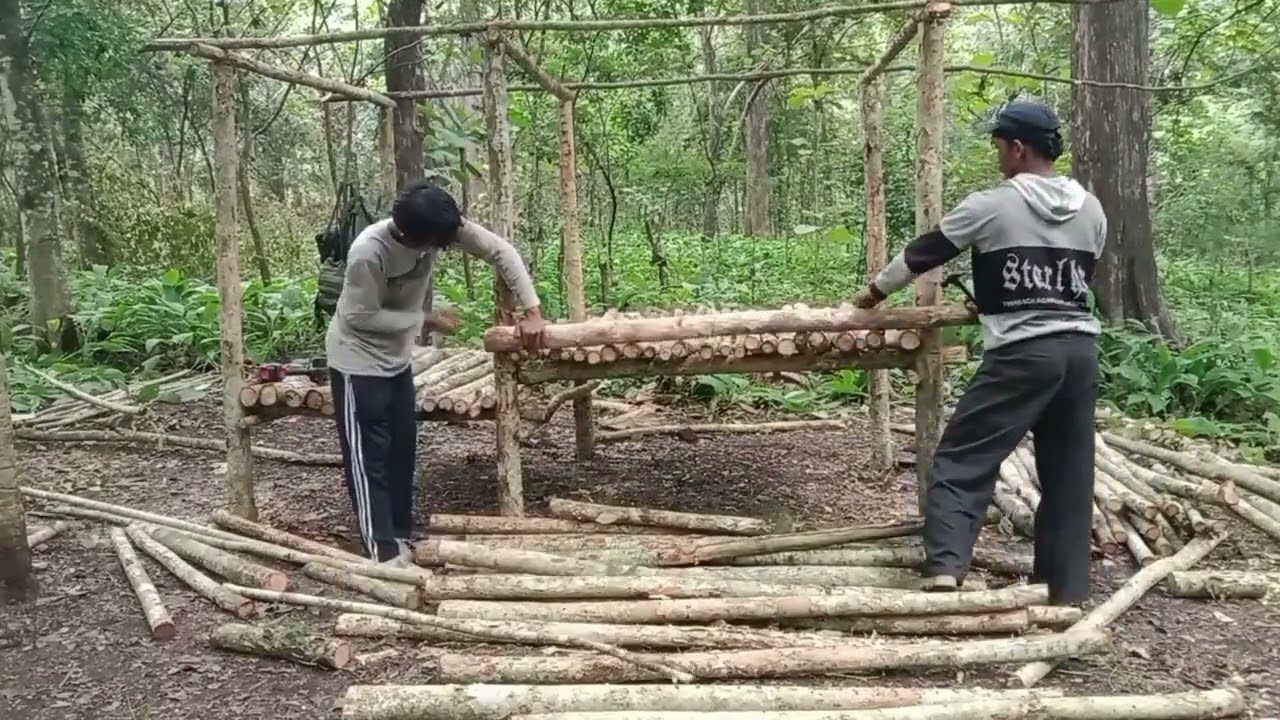Camping membangun shelter sederhana tempat beristirahat semalaman di hutan belantara tidur nyenyak 