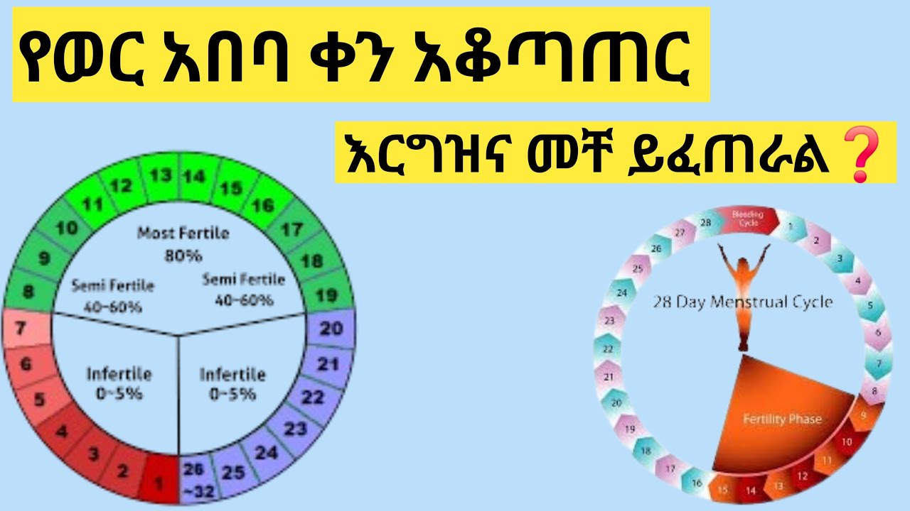 የወር አበባ በሄደ በስንተኛው ቀን እርግዝና ይፈጠራል ❓ menstrual days calculation. rhythm/natural method #zolamedia