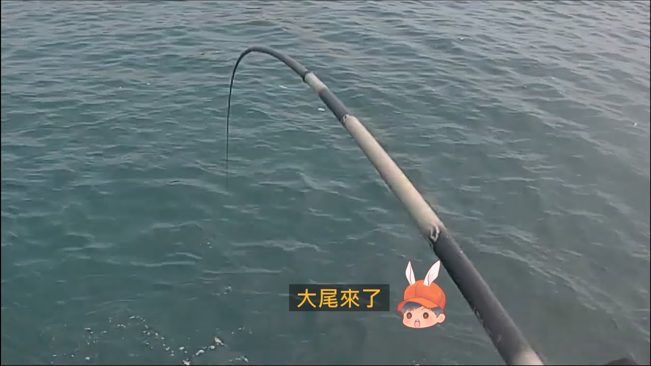 宜蘭大里 釣況分享 Wild fishing in Taiwan. [嘟嘟釣魚狂#269] 2024/08/08