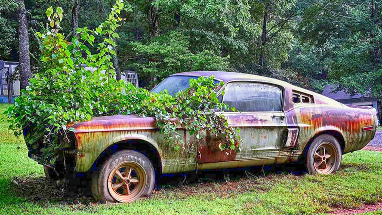 💰 Abandoned Luxury Vehicles Worth Millions - Youll Never Guess Why!