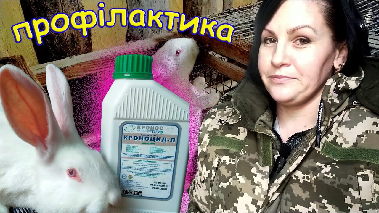 Кокцидіоз, вздуття, діарея у кролів-про все забули завдяки Кроноцид-Л
