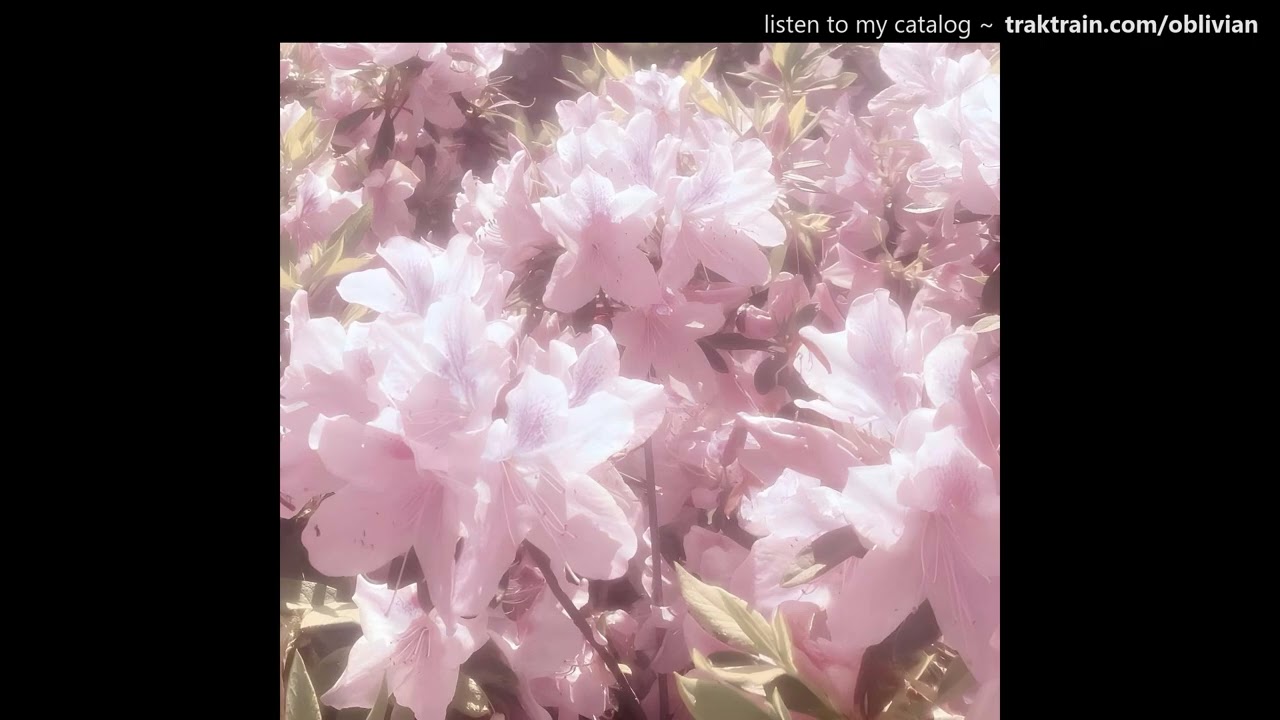 ekebabyy + sample type beat - 