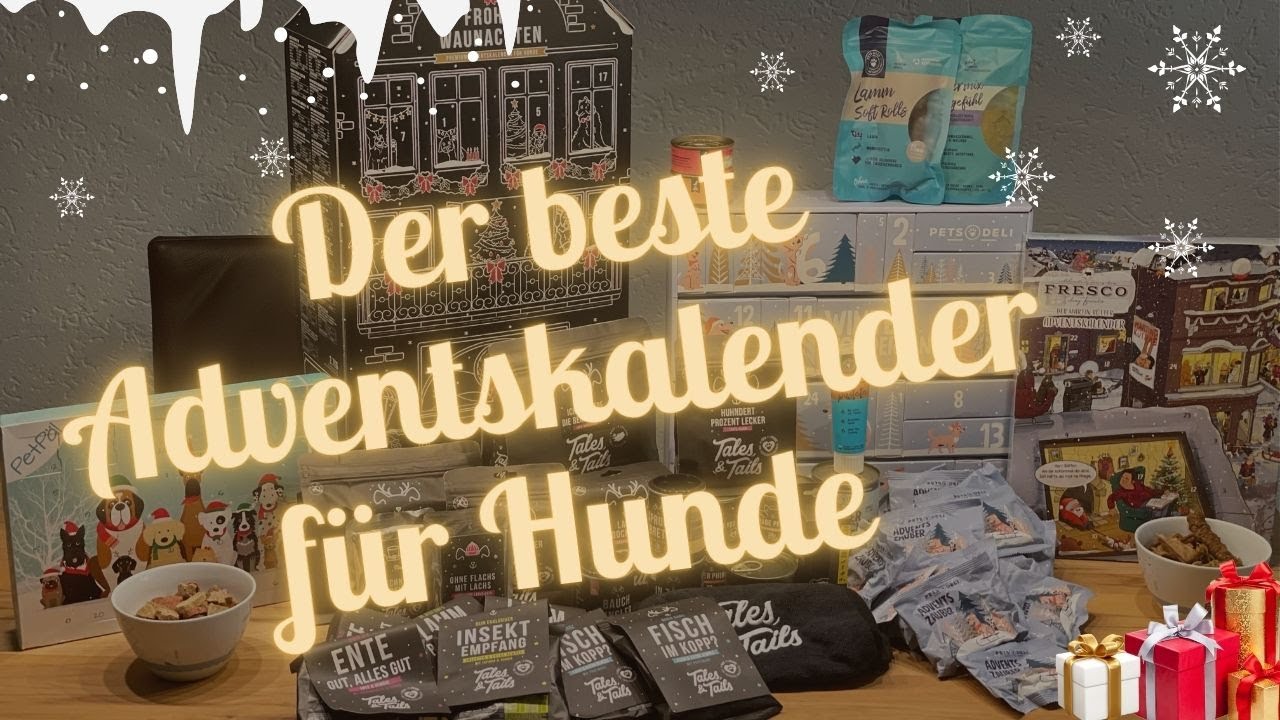 Die besten Hunde-Adventskalender 2024 im Vergleich: PetPäl, Fresco, Pets Deli, Tales & Tails