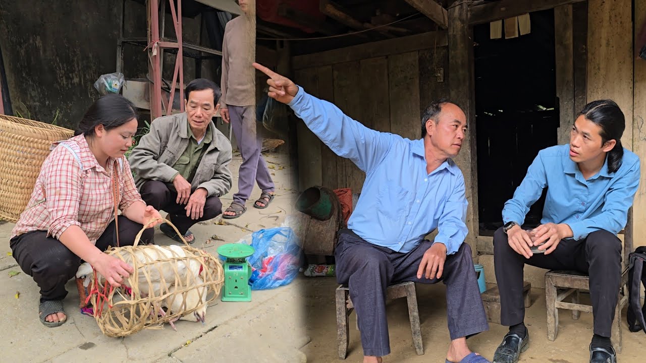 The fisherman went searching for his grandparents so he could meet his single mother. - ly tu tuc 
