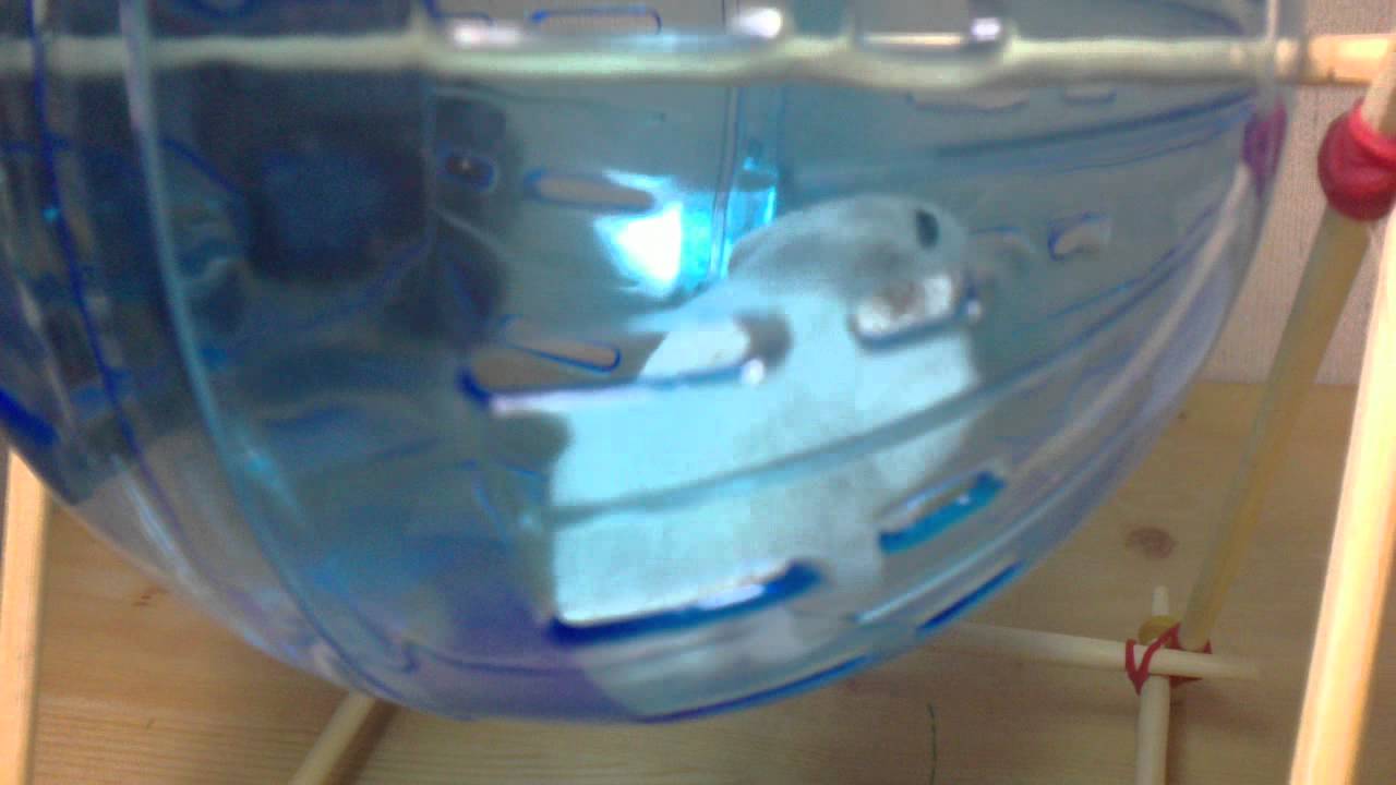 新買的鼠球加上自製簡陋支架XD