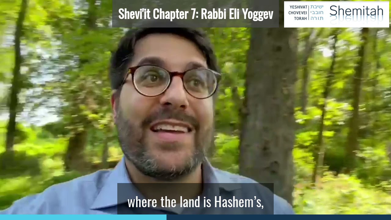 Masechet Shevi'it Perek 7: Rabbi Eli Yoggev ('17)