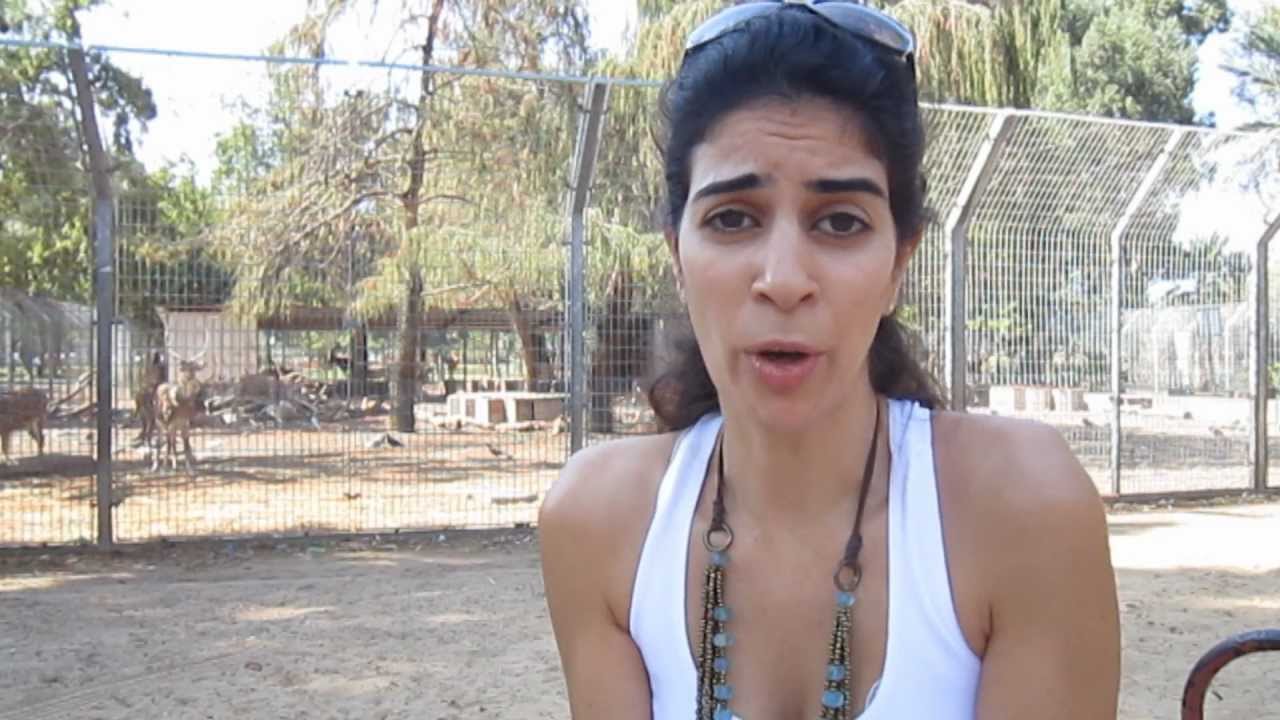 מה כדאי לאכול בהריון?