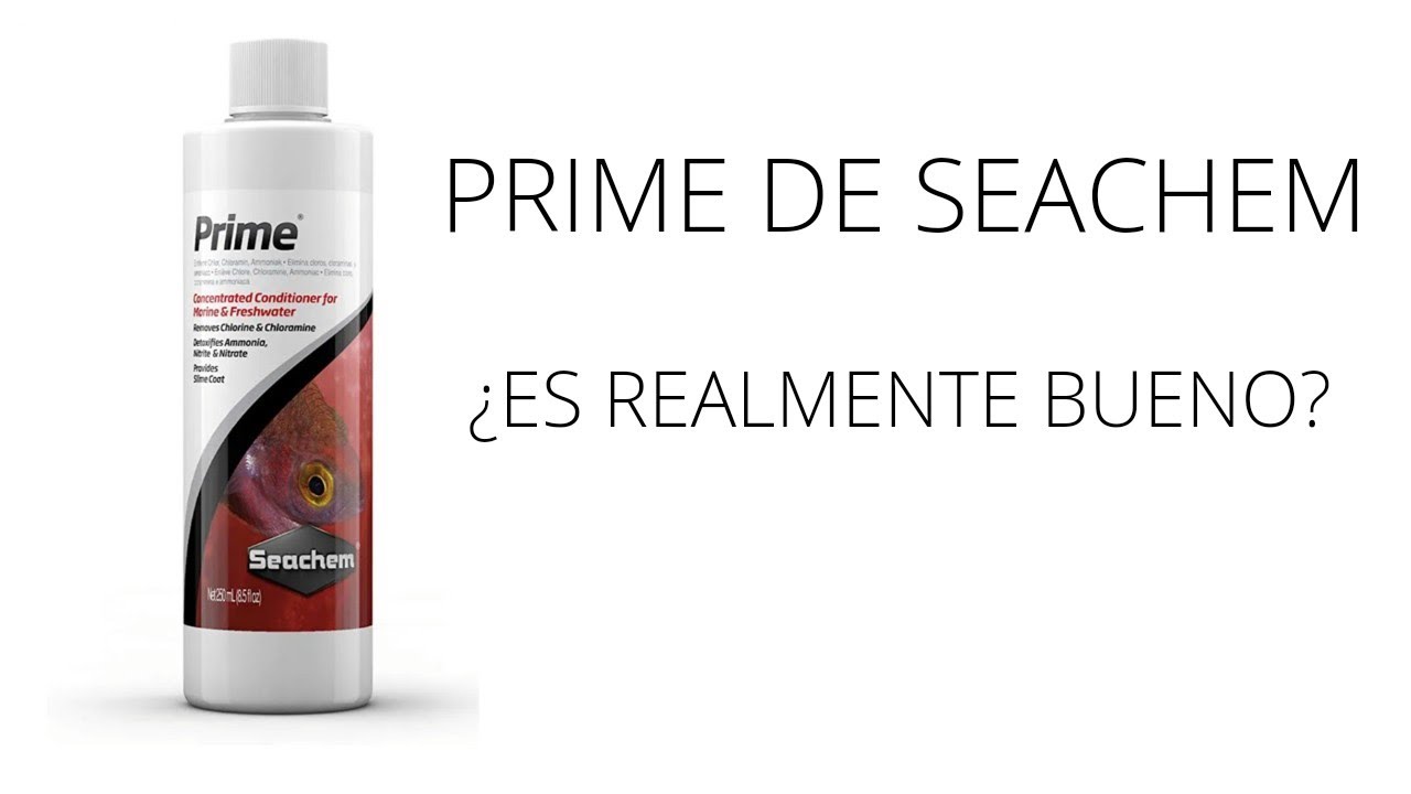 PRIME DE SEACHEM  REVIEW- (anticloro acuario)