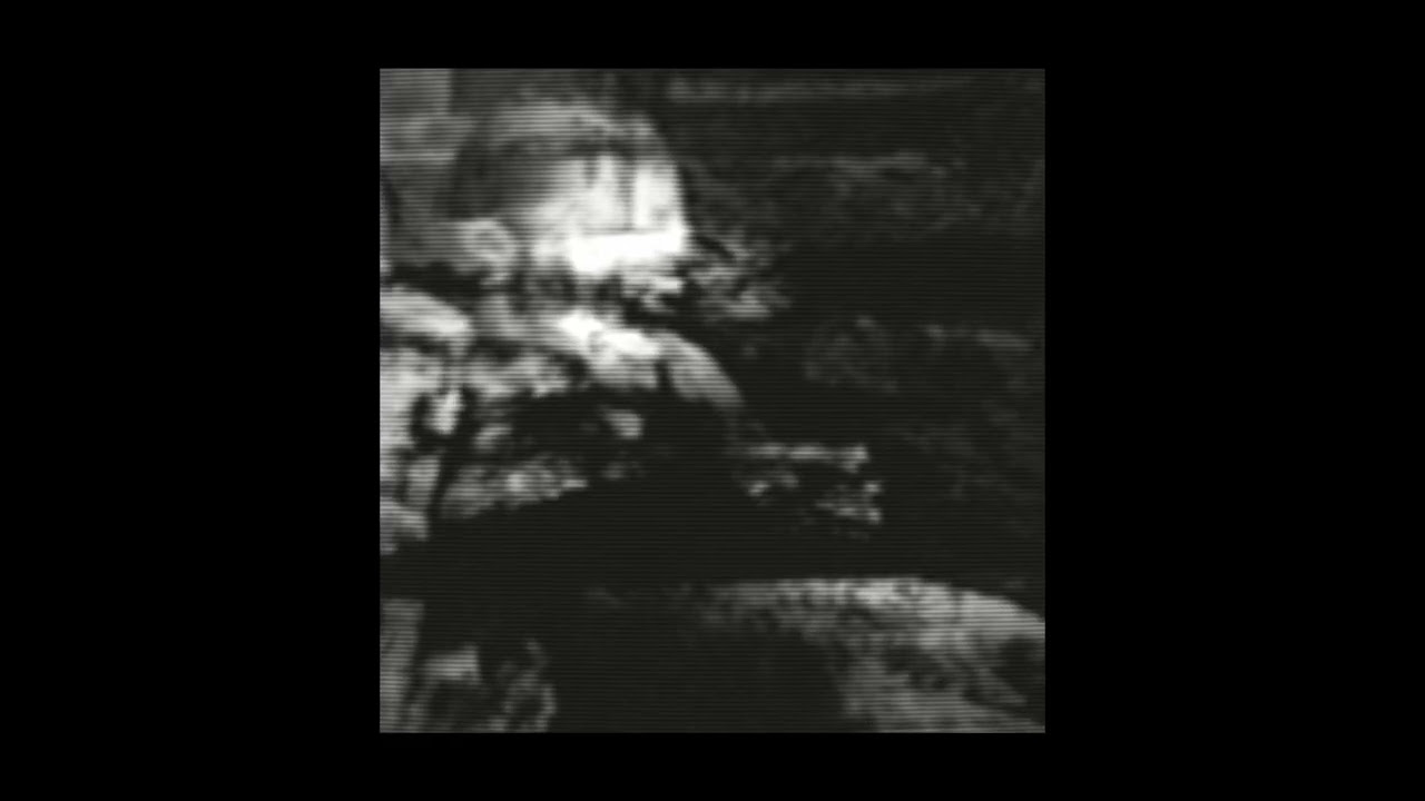 Maralva - Fennec (Instrumental)