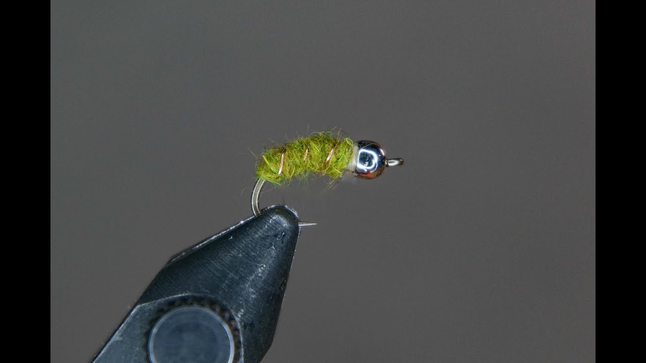 Wapsi Bead Headed Caddis Larva fly tying