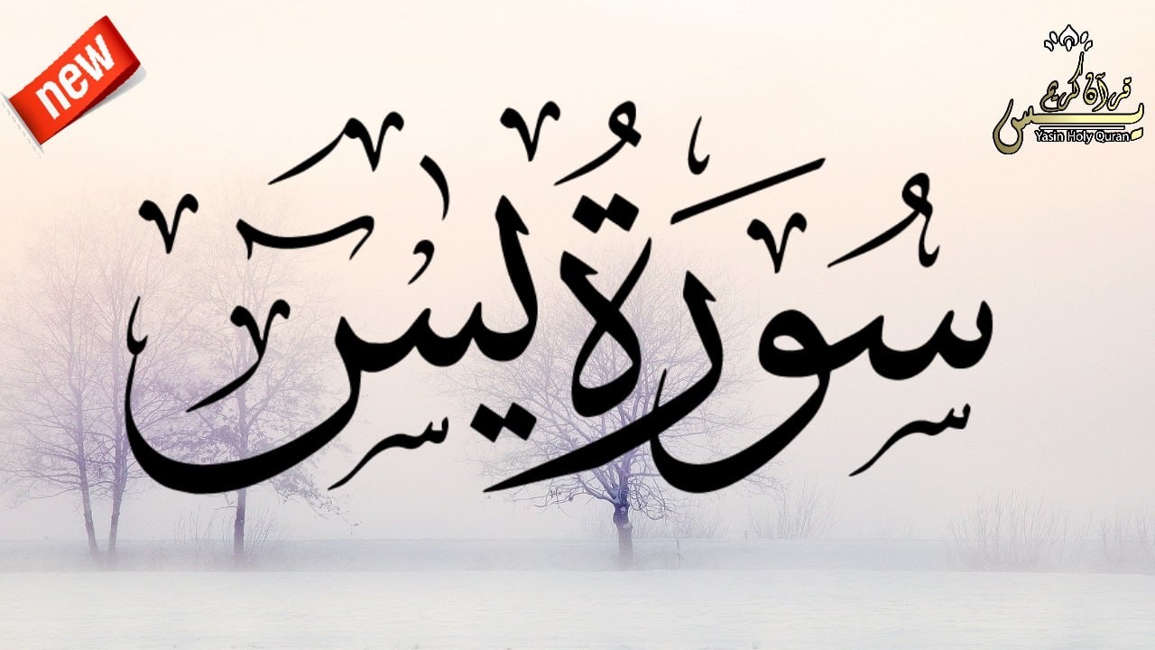 سورة يس      القارئ   مختار الحاج     Surah Yasin Mukhtar Al Hajj