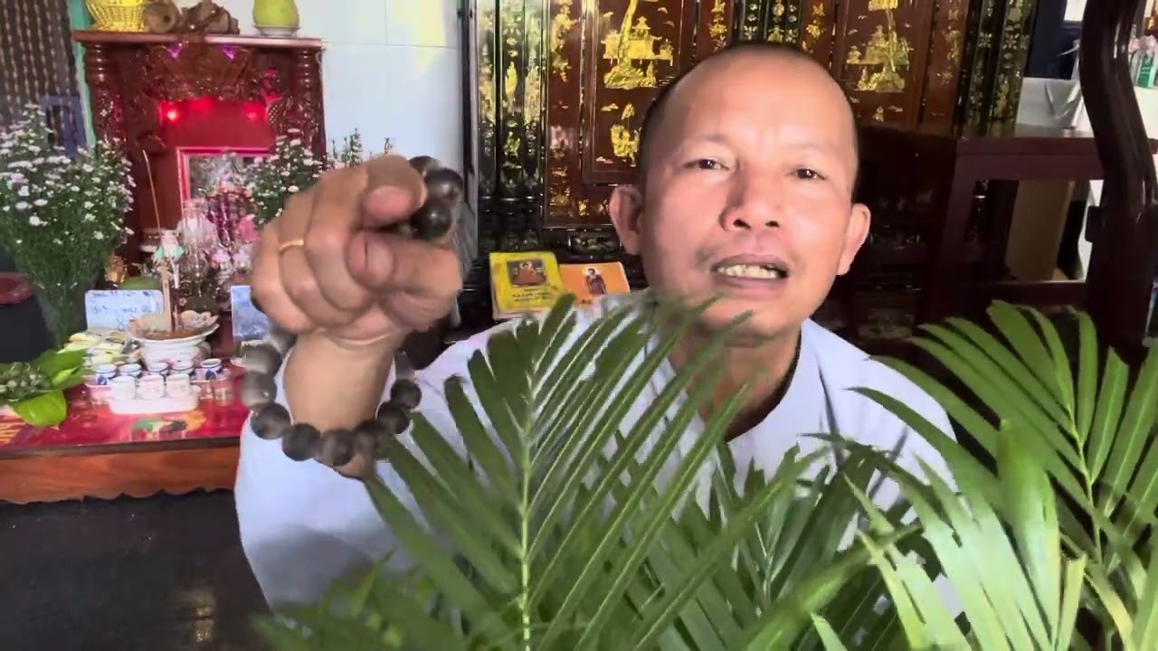 Tử vi tuổi Dậu năm 2026 năm Bính ngọ,phuóc Đức càng nhiều tài Lộc cũng cải thiện, giác loi chia sẻ 