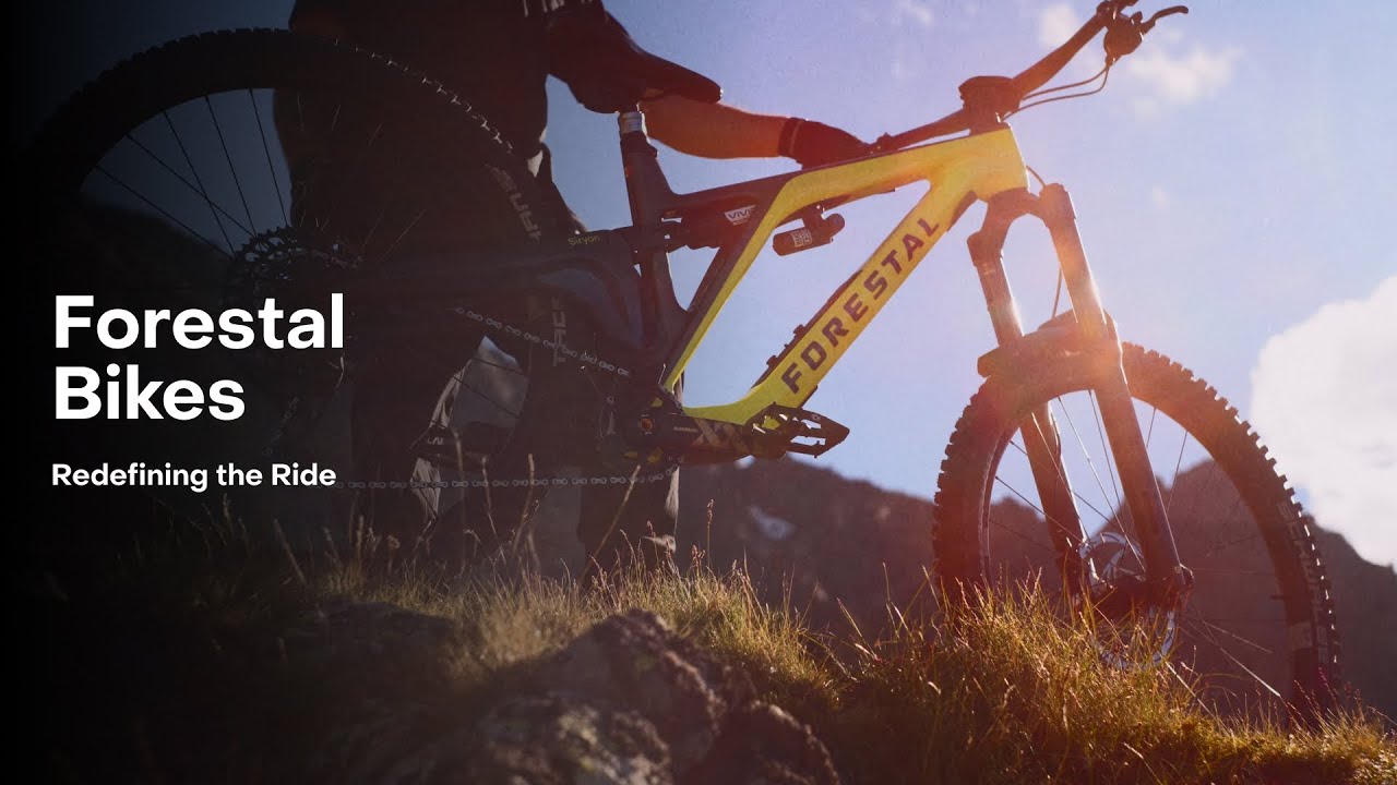 Forestal Bikes | Looking Back, Moving Forward