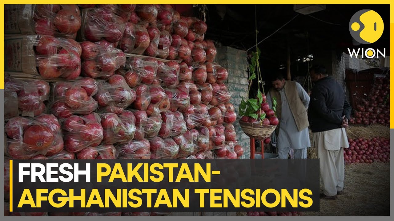 Afghanistan-Pakistan water sharing dispute: Taliban's dam project in Kunar River | WION