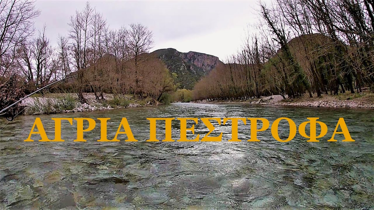 Ψάρεμα πέστροφας/'Αγρια πέστροφα/fishing river sea/spin trout