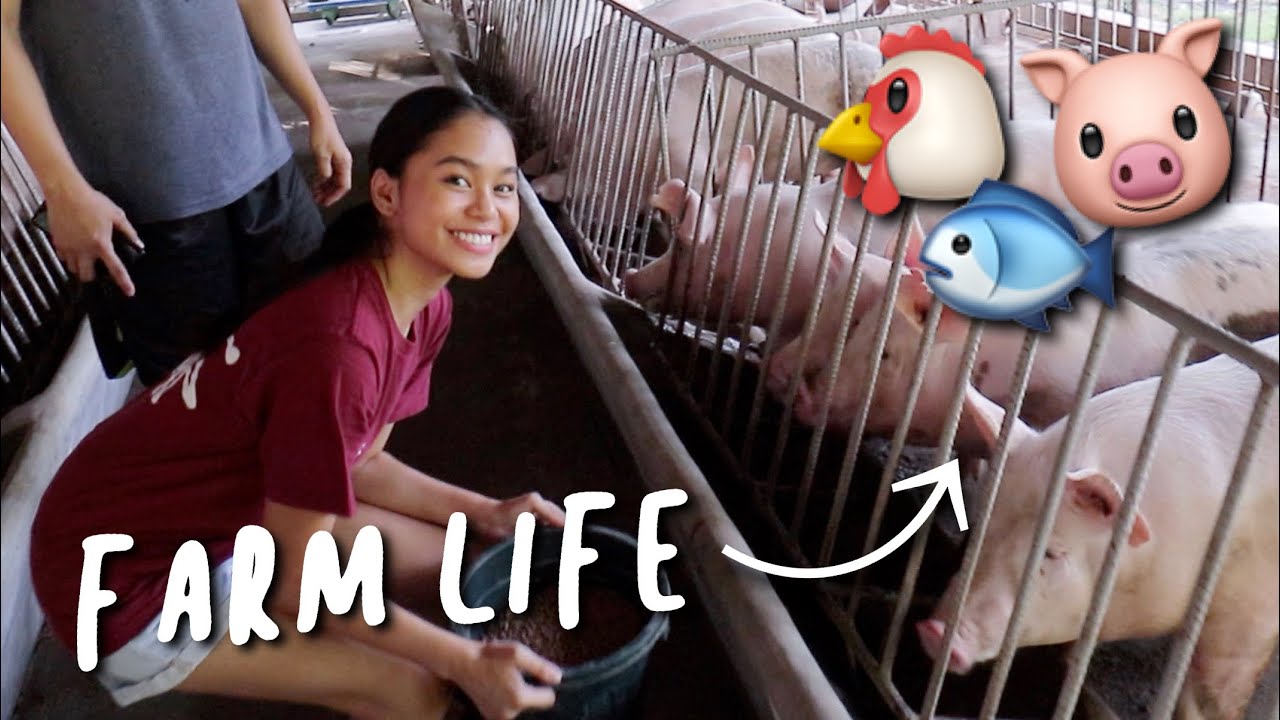 LIVING THE FARM LIFE + FEEDING ANIMALS! | ThatsBella