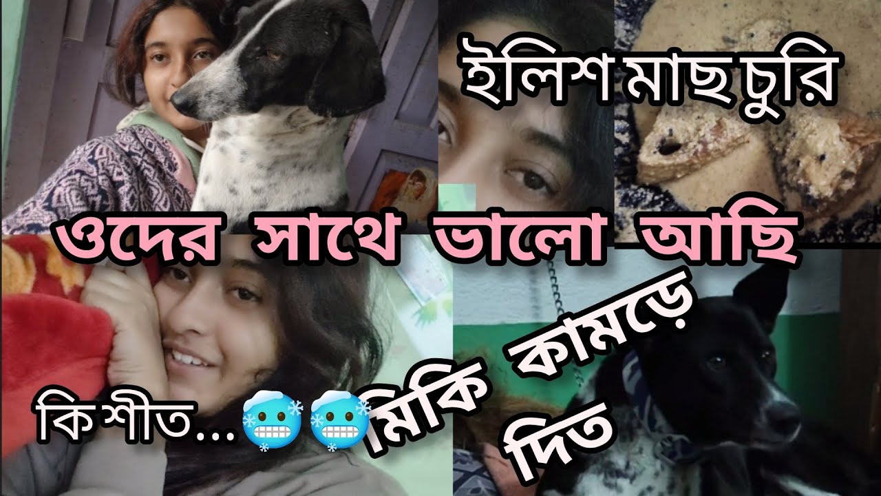 My first vlog in @InnocentInstincts | wonderful day with these innocent animals | Daily vlog 