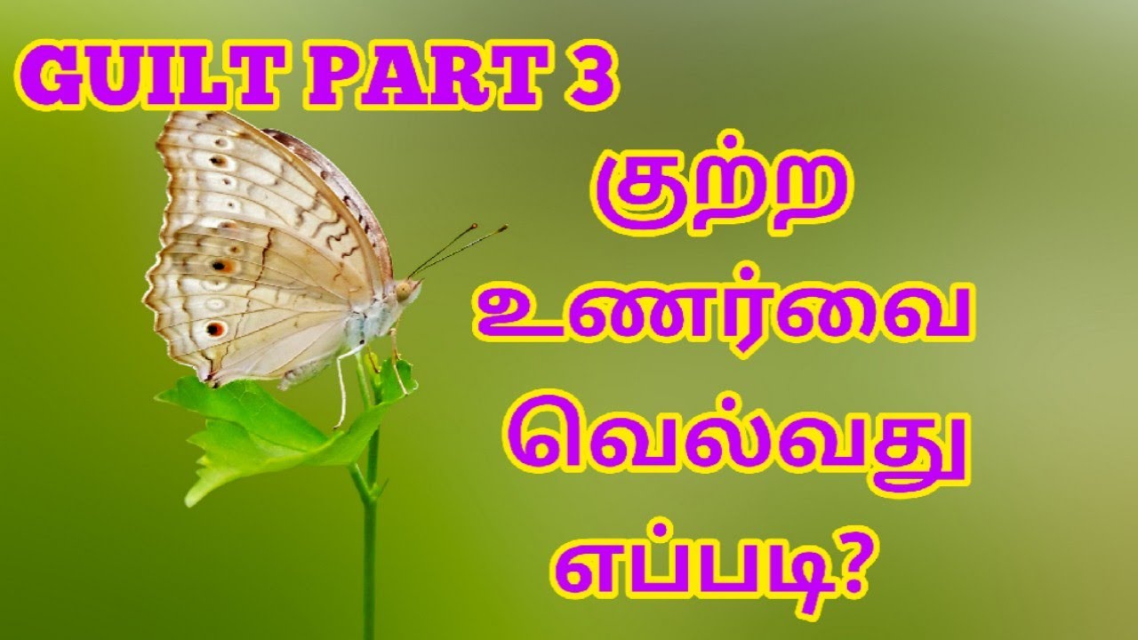 GUILT PART 3 - குற்ற உணர்வில் இருந்து வெளிவருவது எப்படி?