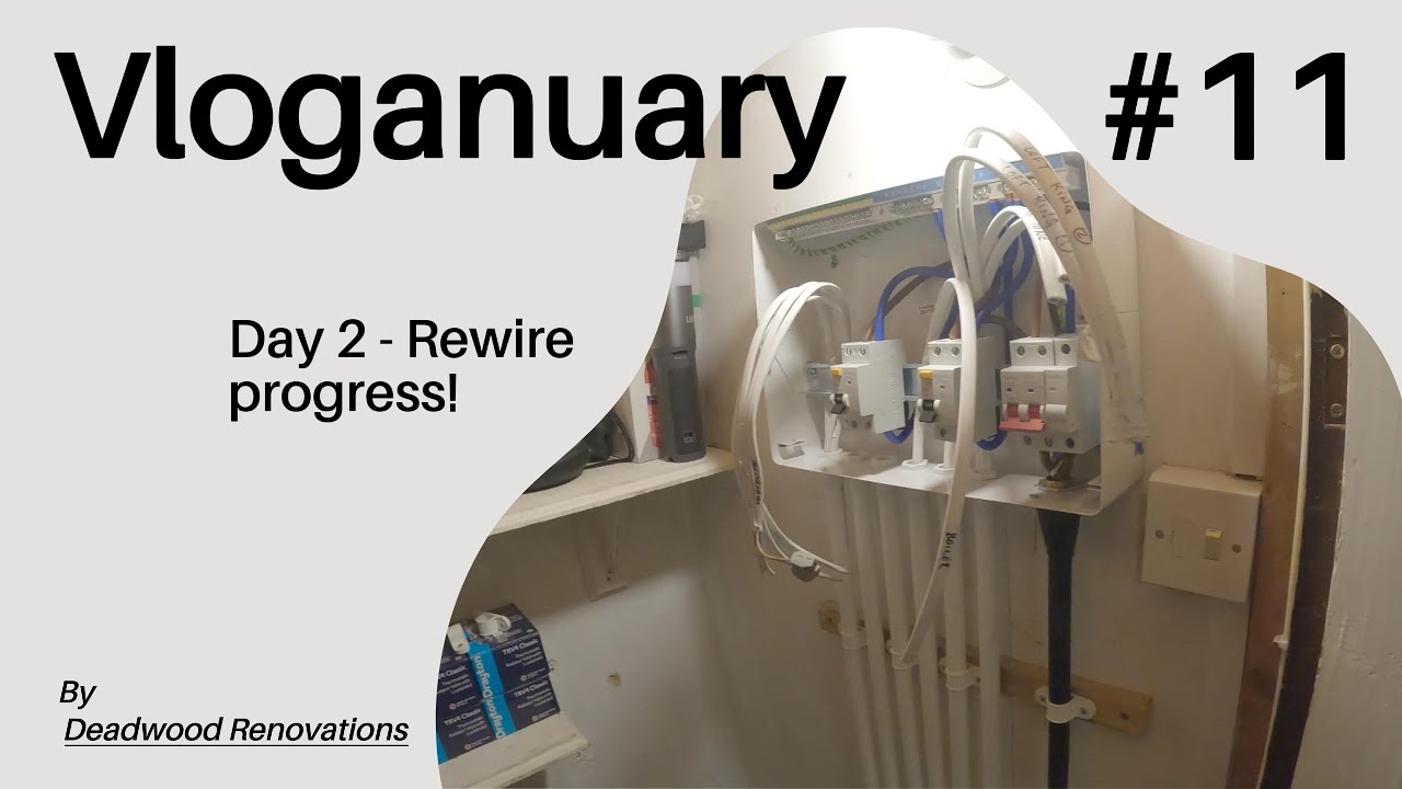 Vloganuary 11th Jan 2026 - Day 2 of the rewire!