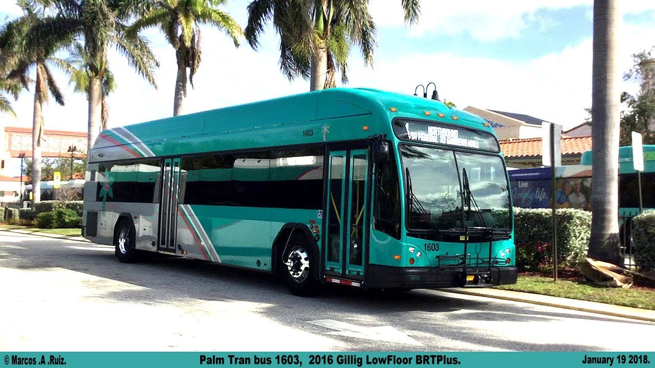 Palm Tran bus action around the city  2018