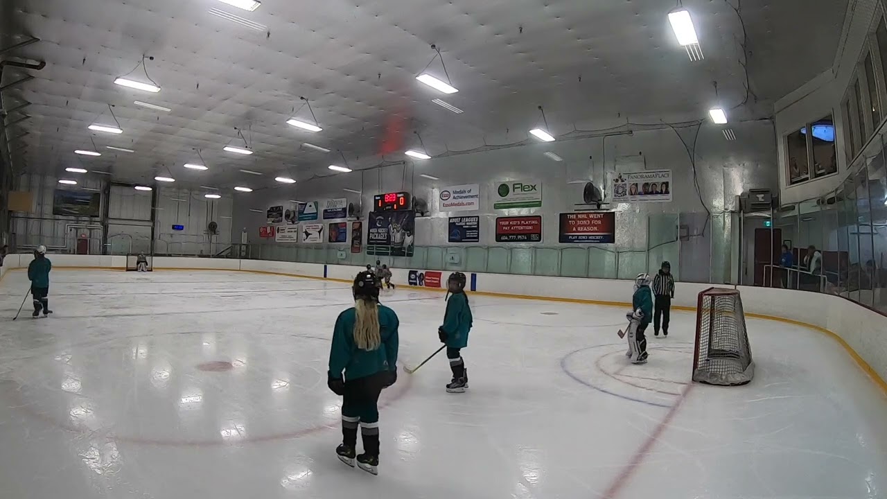 2024 Youth Pond Hockey League U9 - Vikings vs Thunderbirds Championship Game