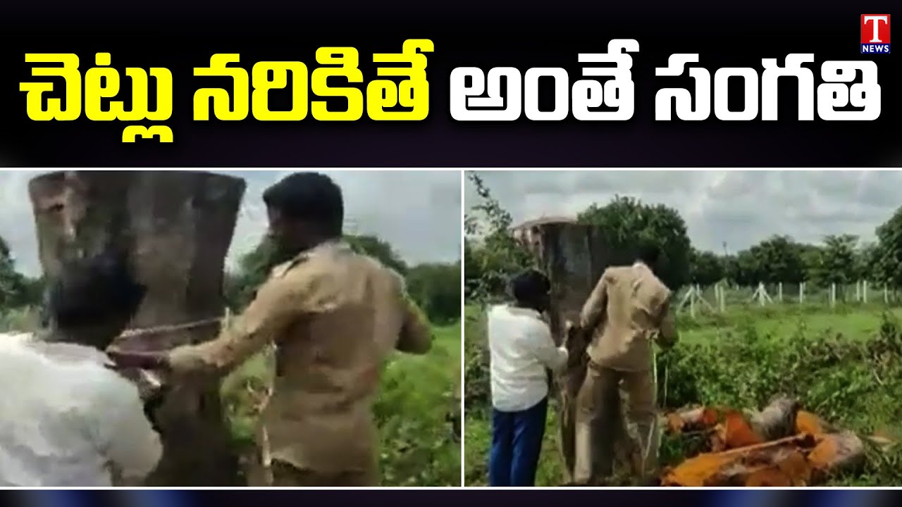 చెట్లు నరికితే అంతే సంగతి  | Rs 4Lakh Fine on Realtor for Cutting 65 Trees | T News